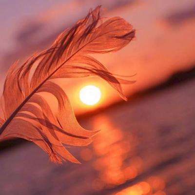 ManBetX手机网页版登录注册截图